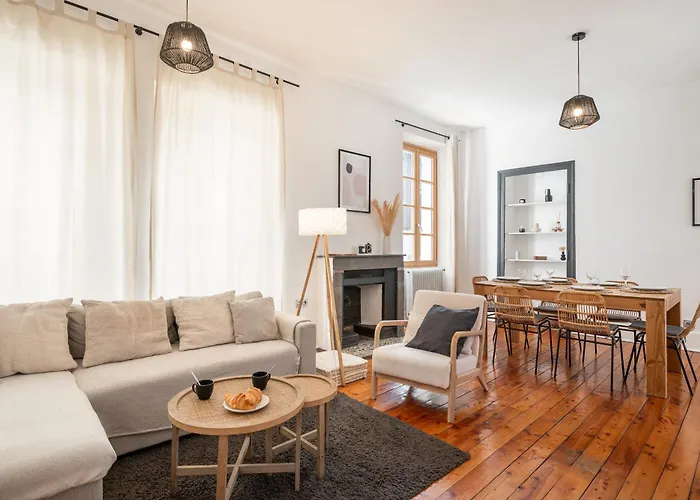 Appartement Spacieux Et Chaleureux Coeur De Ville